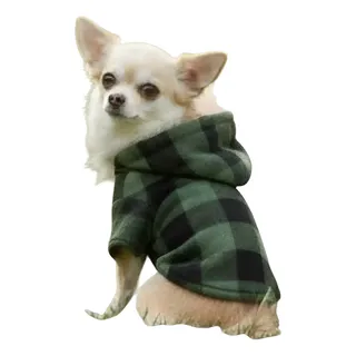 Perro pequeno usando sueter con capucha verde de Alanis Collection
