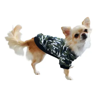 Playera fresca para mascota Alanis Collection